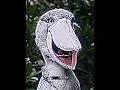 Download Lagu Terrifying Animals💀- MYSTERIOUS MOSE FUNK (trollface edit)