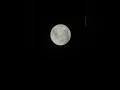 Download Lagu Super Full Blue Moon August 2023 Through My Telescope  #shorts #astrophotography #moon #bluemoon