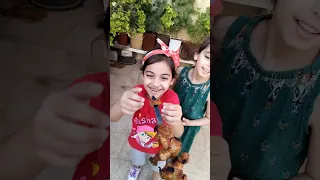                                                                            دندنها