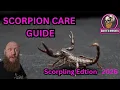 Lagu Asian Forest Scorpion Care Guide.. Scorpling edition 