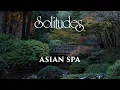 1 hour of Relaxing Spa Music Dan Gibson s Solitudes - Asian Spa Full Album