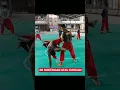 Download Lagu Guntingan atau kuncian ? || Pencaksilat #silat #padjadjarancimande #tapaksuci #psht