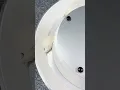 Download Lagu 90% hydration dough tested in the Merand Rotaball... Did it work? 👀 | Vanrooy Machinery