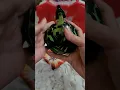 Download Lagu WORKING BAKUGAN BATTLE BRAWLERS #shorts #asmr #shortvideo #bakugan #battle #viral #trending #howto