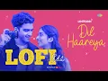 Dil Haareya - LoFi Edit | Arijit Singh | Vivian Richard | JUNO | IAMPRANN