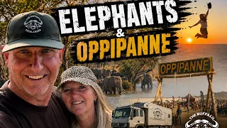 ELEPHANTS OPPIPANNE - Our Botswana Adventure Continues