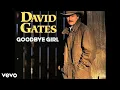 Download Lagu Goodbye Girl - David Gates || MV Official