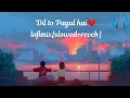 Dil to Pagal hai❤️ |lofimix|slowed+reverb| #lofi #lofimix #diltopagalhai#bollywood#song#uditnarayan