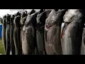 Fishing Report Ludington 26