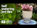 Download Lagu The pros and cons of self-watering pots and how to use them | Indoor Plants | Gardening Australia