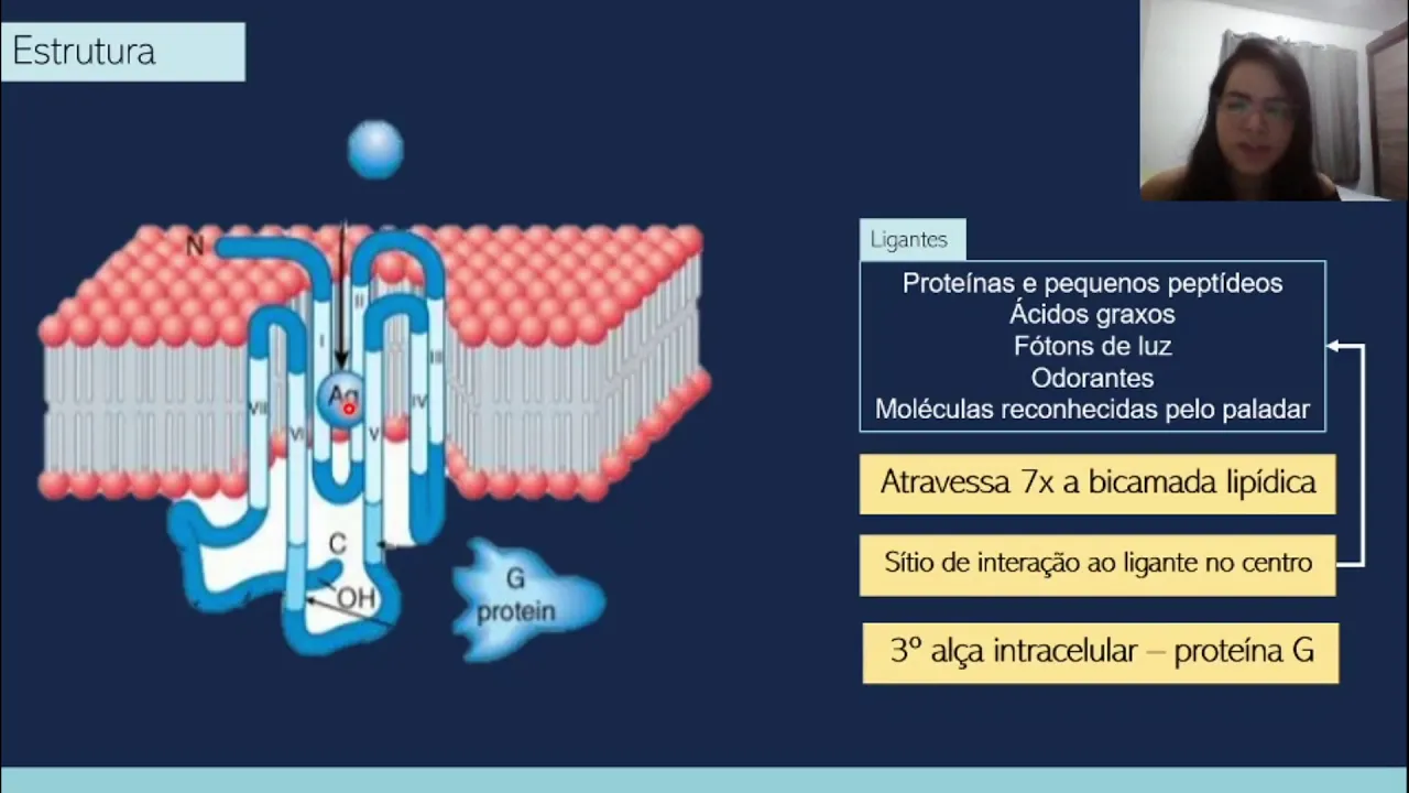 Aula 5 - Receptores acoplados à proteína G