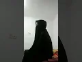 zuktuwalalan❤️❤️