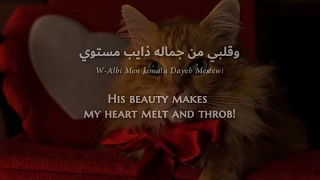Nancy Ajram Sheik El ShabaB Lebanese Arabic Lyrics Translation نانسي عجرم شيخ الشباب  Nancy Ajram Sheik El ShabaB Lebanese Arabic Lyrics Translation نانسي عجرم شيخ الشباب