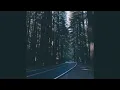 Sultan Shepard - 'Salta' ( slowed + reverb )