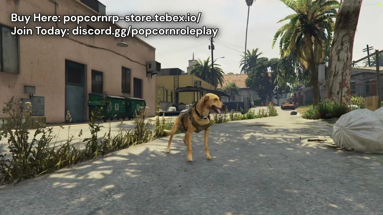 Caramelo Dog