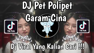 dj pet polipet pipet angka 7 dj garam cina remix viral tiktok terbaru 2025