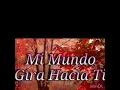 Mi mundo gira hacia ti🌍