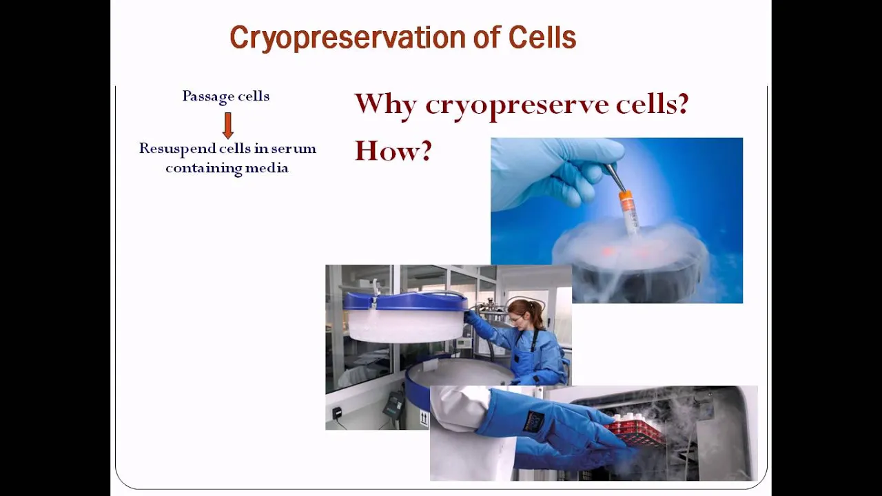 Cell culture techniques 4 - Cryopreservation
