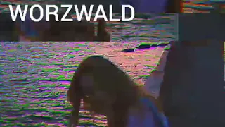 liinaliiis f oficial special video with full song worzwald