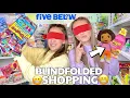 BLINDFOLDED SHOPPING AT FIVE BELOW GONE WRONG