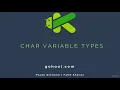 17 - Type of Variable Char