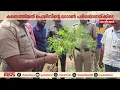 പൊലീസിന്റെ ഡ്രോണ് പരിശോധനയ്ക്കിടെ കണ്ടെത്തിയത് കഞ്ചാവ് ചെടികള്