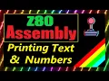 Z80 Assembly - Printing Text and Numbers to the screen Sinclair ZX Spectrum