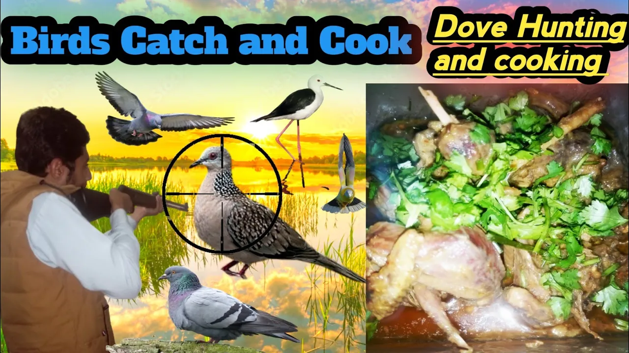 Birds Hunting & Cooking ||Catch & Cook||Doves|Pigeons|Airgun Hunting|#Hunting#youtube#airgun#cooking