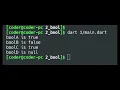 Boolean and Boolean literals in Dart Programming Language