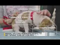 City of Albuquerque reminding people to keep their pet s vaccinations up to date