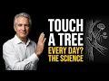 I Touched the Same Tree Every Day Then Something Unexpected Happened