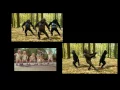 Download Lagu Panas Panas
