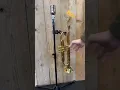Download Lagu Stagg Trompet Cornet houder SCL-SBR YET Music \u0026 Sound  #trumpet #instruments #viralvideo
