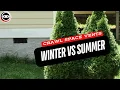 Stop Don t Open Your Crawl Space Vents Until You Watch This