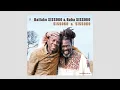 Lagu Ballaké Sissoko - Sissoko \u0026 Sissoko (2019) [Full Album]
