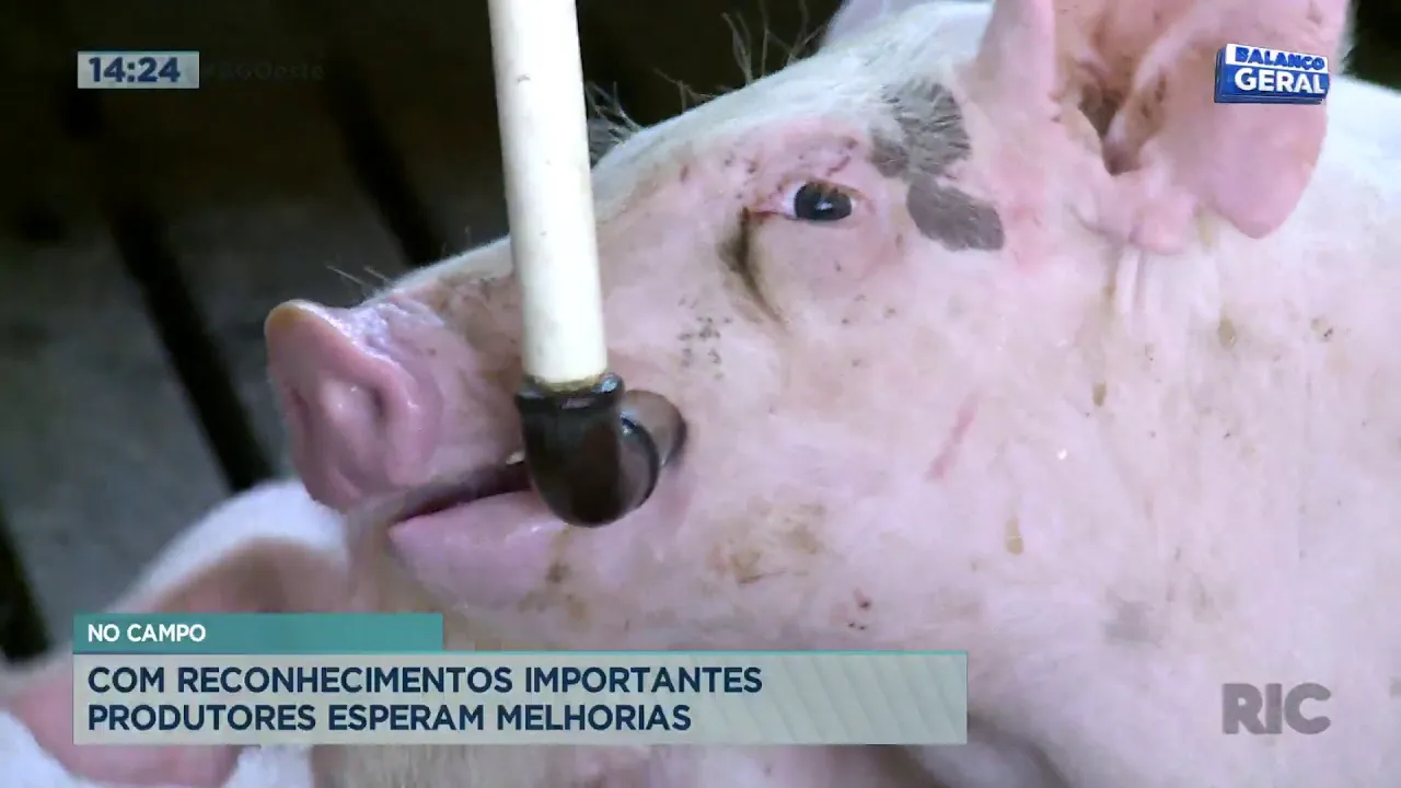Balanço Geral Oeste Ao Vivo | Assista à íntegra de hoje - 22/03/2021
