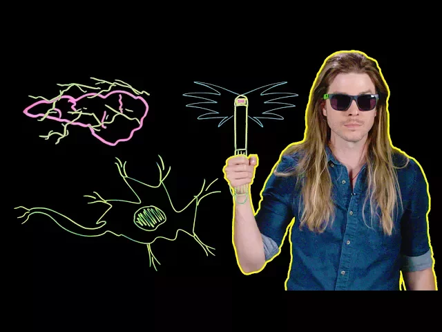 Could the Men in Black Neuralize You? (Because Science w/ Kyle Hill)