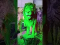 Download Lagu jungle ke Raja jaldi aaja #lion #youtubeshorts #viral #lions #tiger #jungle #mishibaheti