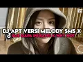 Download Lagu DJ APT VERSI MELODY SMS X SMS SIAPA INI BANG X WHY NOT BY DJ Vel Bass
