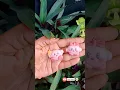Download Lagu 🥳Tell me🫣 who I am? ✨ഇത്രെയും simple ആയിരുന്നോ? #diycrafts  #youtubeshorts #diy #craft #diykeychain