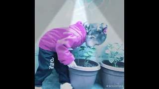 اغنيه انا الاولى والاخيره 