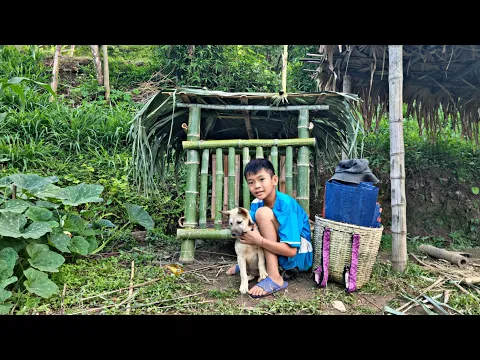 Download MP3 poor boy - Harvesting mangoes to sell. The kind uncle helped Bao build a barn for Mich