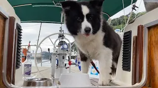 10-days Sailing: Intensifying Prep for My Solo Crossing