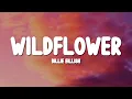 Download Lagu Billie Eilish - WILDFLOWER (Lyrics)