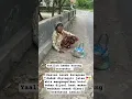 Download Lagu nenek ini jadi pemulung buat makan #short