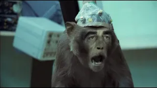 basement jaxx wheres your head at official video 