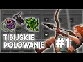 [PL] Tibia - Tibijskie Polowanie | Czas zapolować! #1