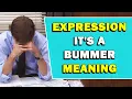 Expression It s A Bummer Meaning