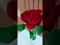 Vídeo do produto