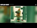 Skylar Grey - Motivation (Official Audio)